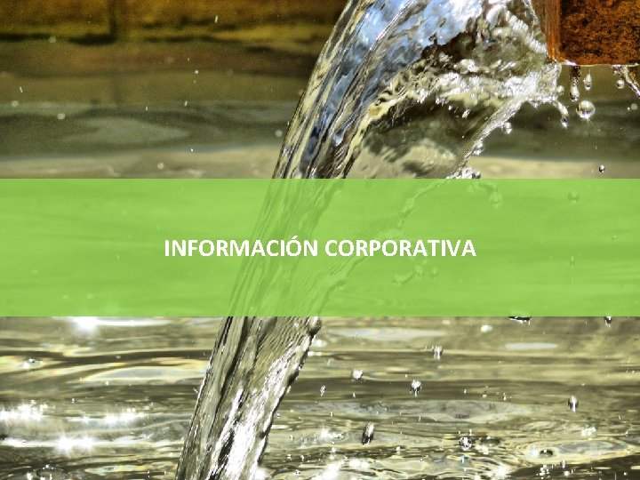 INFORMACIÓN CORPORATIVA 