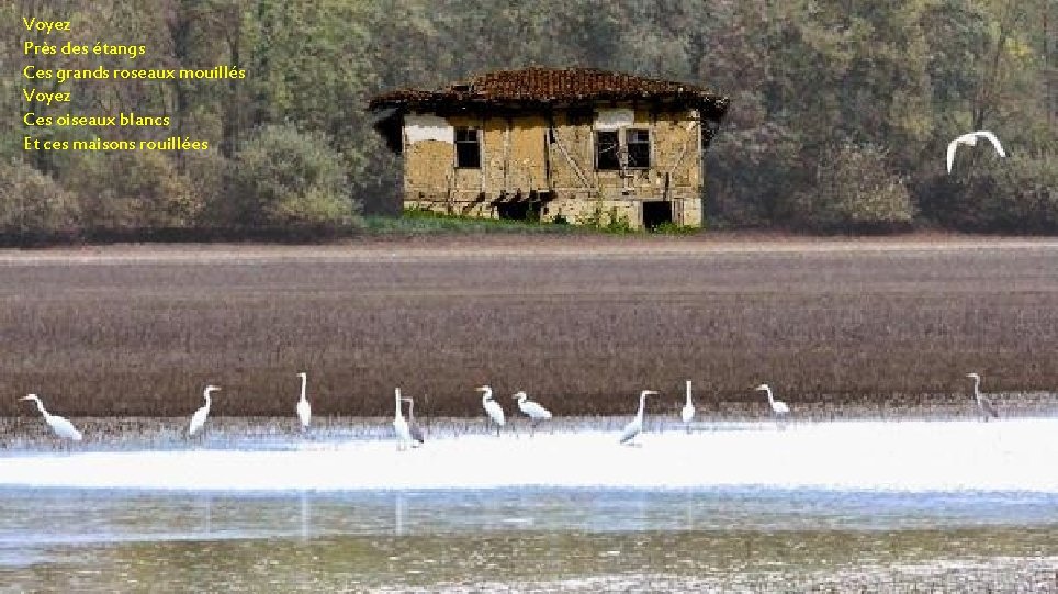 Voyez La mer Au ciel Près desd'été étangs confond Ses blancs Ces grandsmoutons roseaux