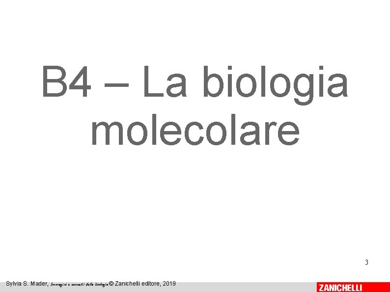 B 4 – La biologia molecolare 3 Sylvia S. Mader, Immagini e concetti della B 4 – La biologia molecolare 3 Sylvia S. Mader, Immagini e concetti della