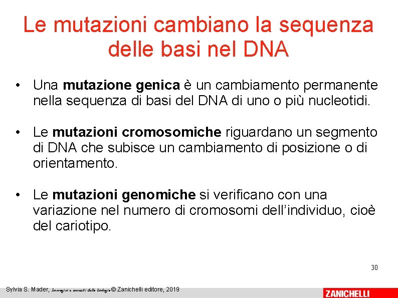 Le mutazioni cambiano la sequenza delle basi nel DNA • Una mutazione genica è Le mutazioni cambiano la sequenza delle basi nel DNA • Una mutazione genica è