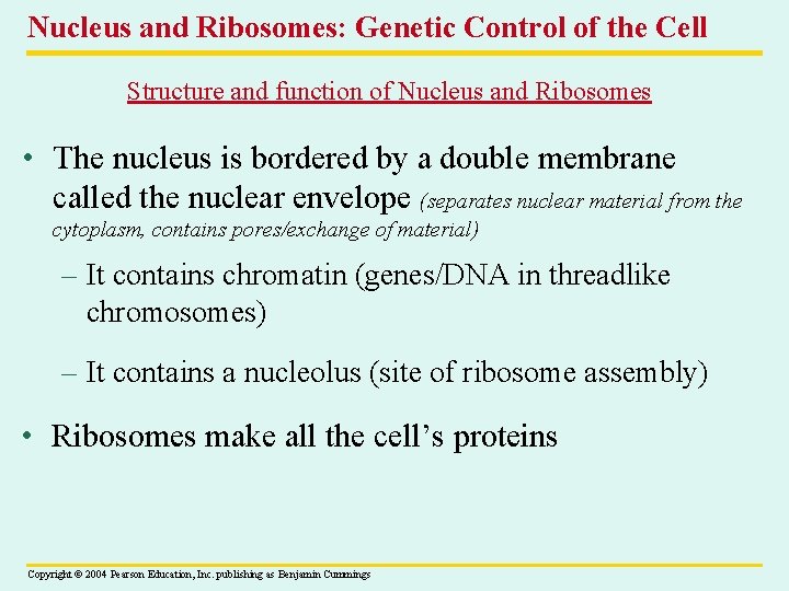 Nucleus and Ribosomes: Genetic Control of the Cell Structure and function of Nucleus and