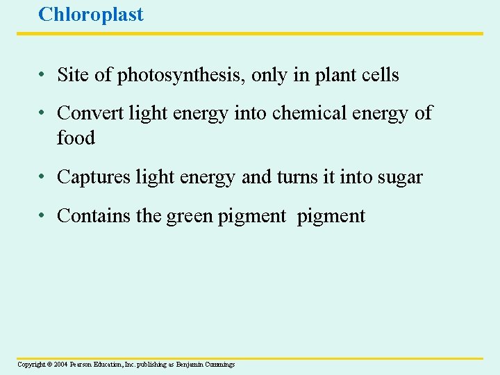 Chloroplast • Site of photosynthesis, only in plant cells • Convert light energy into