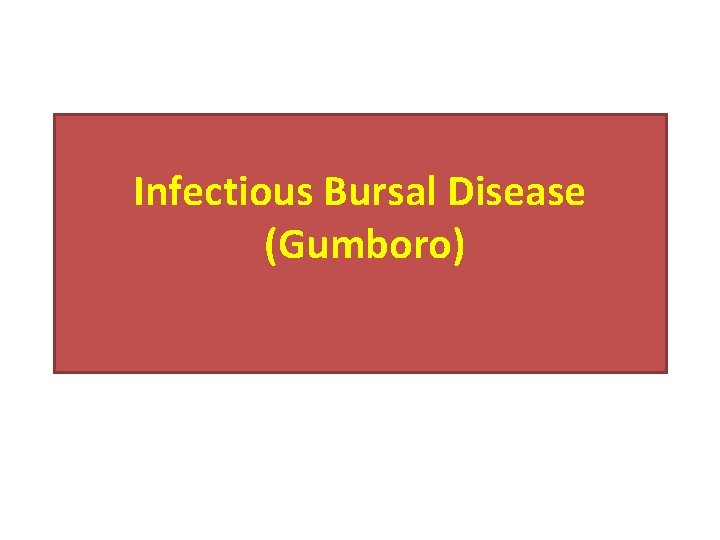 Infectious Bursal Disease (Gumboro) 
