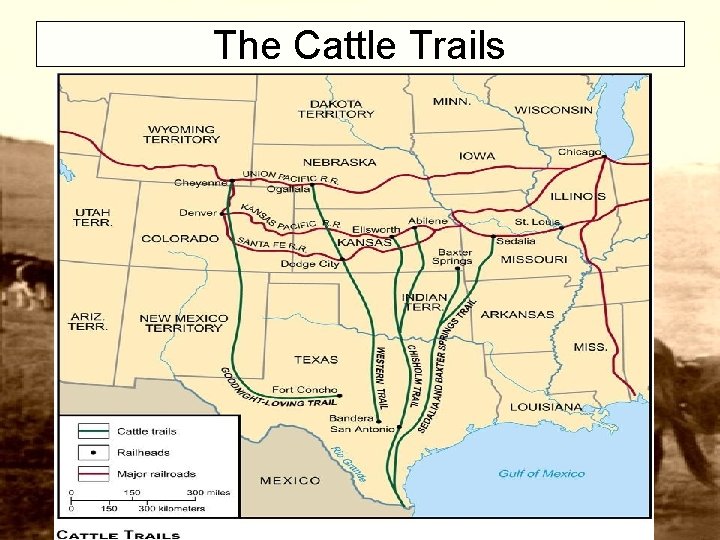 The Cattle Trails 