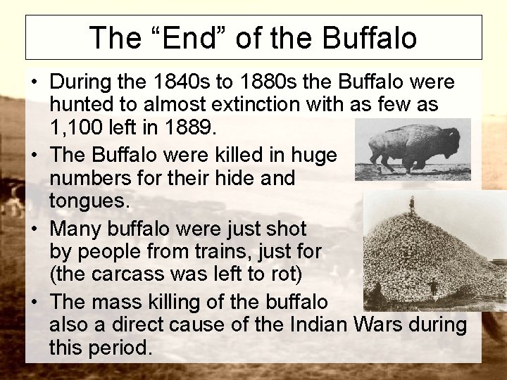 The “End” of the Buffalo • During the 1840 s to 1880 s the