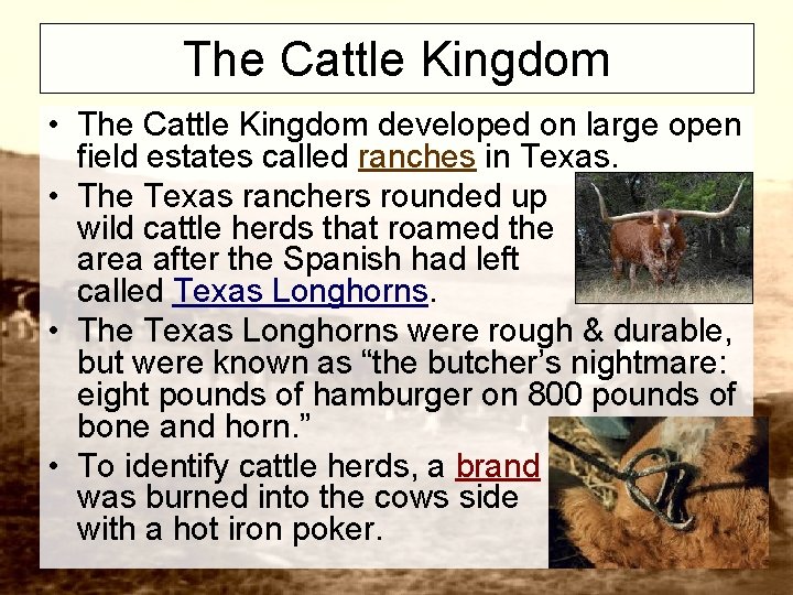 The Cattle Kingdom • The Cattle Kingdom developed on large open field estates called