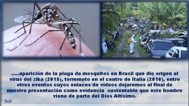 …. . aparición de la plaga de mosquitos en Brasil que dio origen al