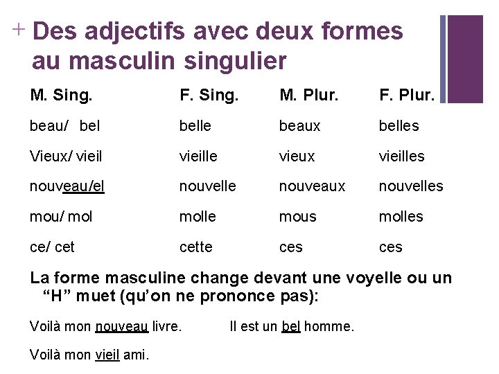 + Des adjectifs avec deux formes au masculin singulier M. Sing. F. Sing. M.