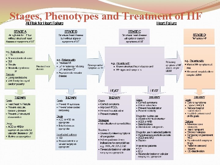 Stages, Phenotypes and Treatment of HF 