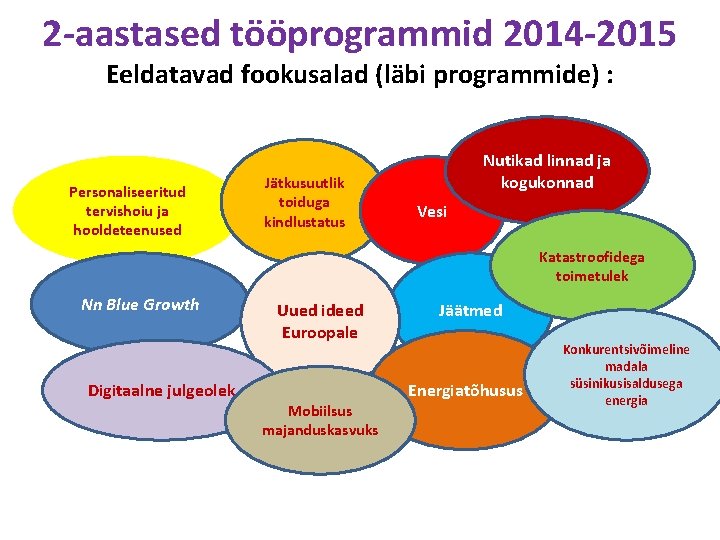 2 -aastased tööprogrammid 2014 -2015 Eeldatavad fookusalad (läbi programmide) : Personaliseeritud tervishoiu ja hooldeteenused