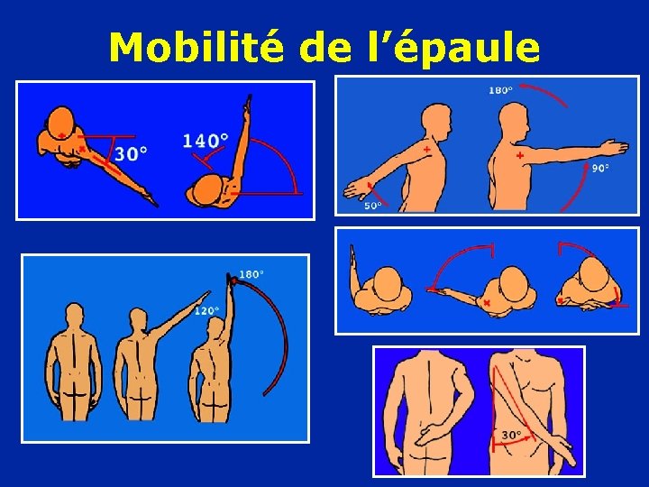 Mobilité de l’épaule 