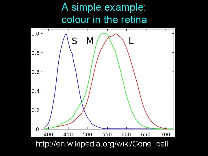 A simple example: colour in the retina http: //en. wikipedia. org/wiki/Cone_cell 10 A simple example: colour in the retina http: //en. wikipedia. org/wiki/Cone_cell 10