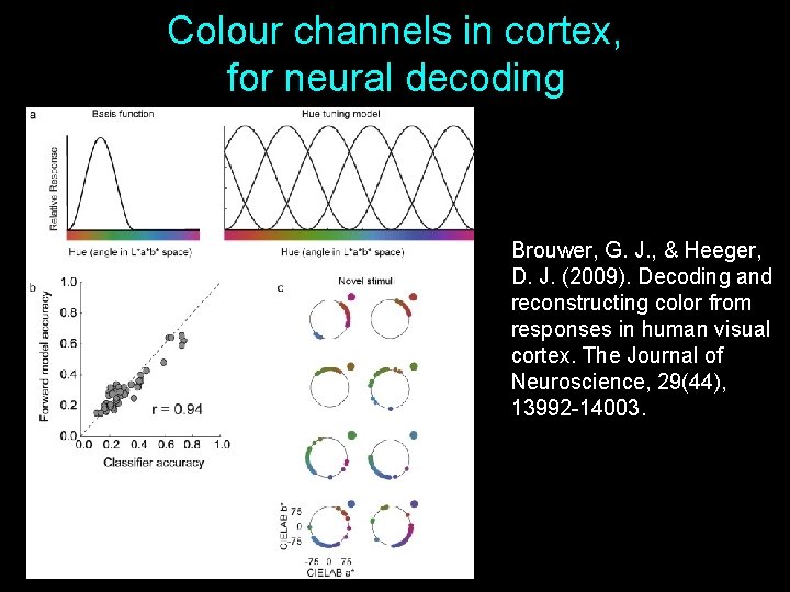 Colour channels in cortex, for neural decoding Brouwer, G. J. , & Heeger, D. Colour channels in cortex, for neural decoding Brouwer, G. J. , & Heeger, D.