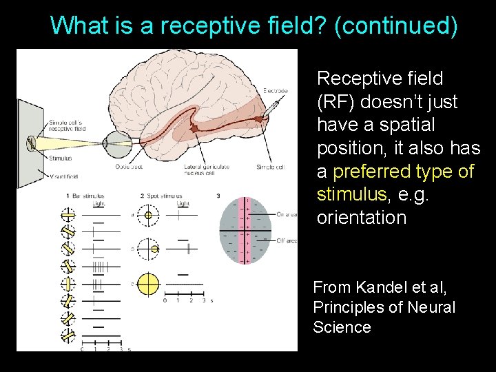 What is a receptive field? (continued) Receptive field (RF) doesn’t just have a spatial What is a receptive field? (continued) Receptive field (RF) doesn’t just have a spatial
