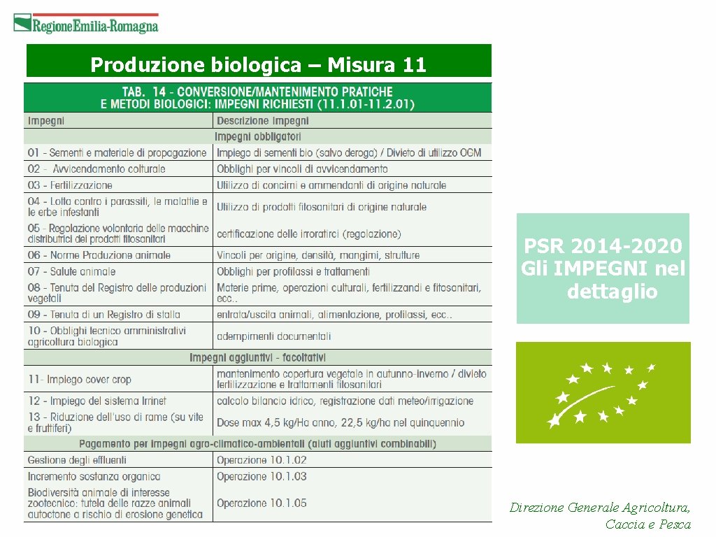 Produzione biologica – Misura 11 PSR 2014 -2020 Gli IMPEGNI nel dettaglio Direzione Generale