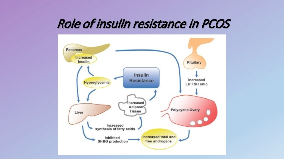 Role of insulin resistance in PCOS 