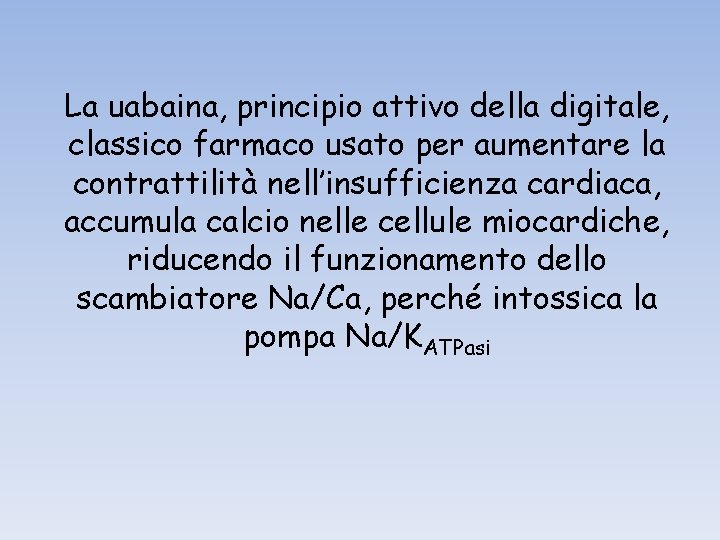 La uabaina, principio attivo della digitale, classico farmaco usato per aumentare la contrattilità nell’insufficienza