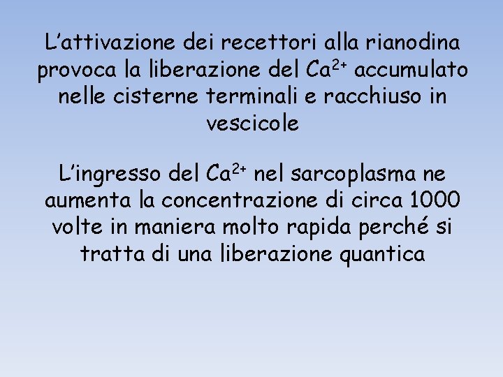 L’attivazione dei recettori alla rianodina provoca la liberazione del Ca 2+ accumulato nelle cisterne