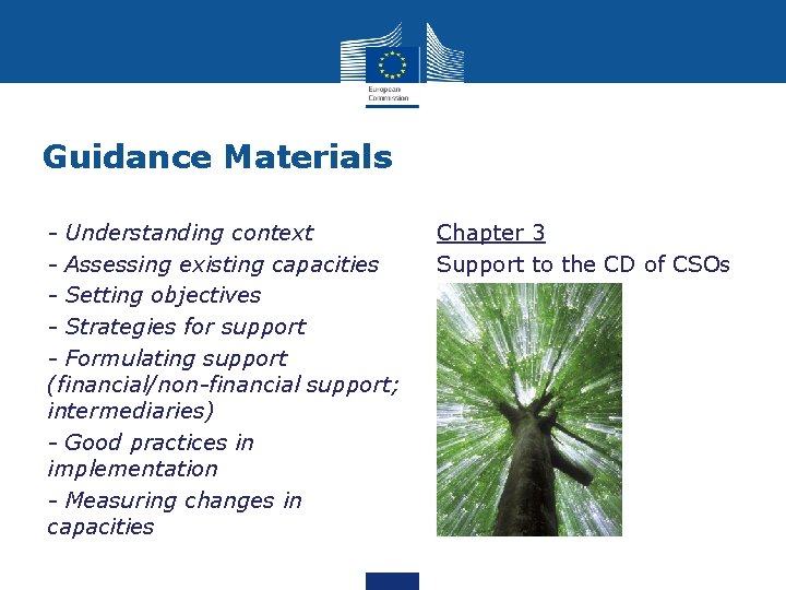 Support to the Capacity Development of CSOs Ensuring