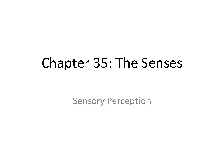 Chapter 35: The Senses Sensory Perception 