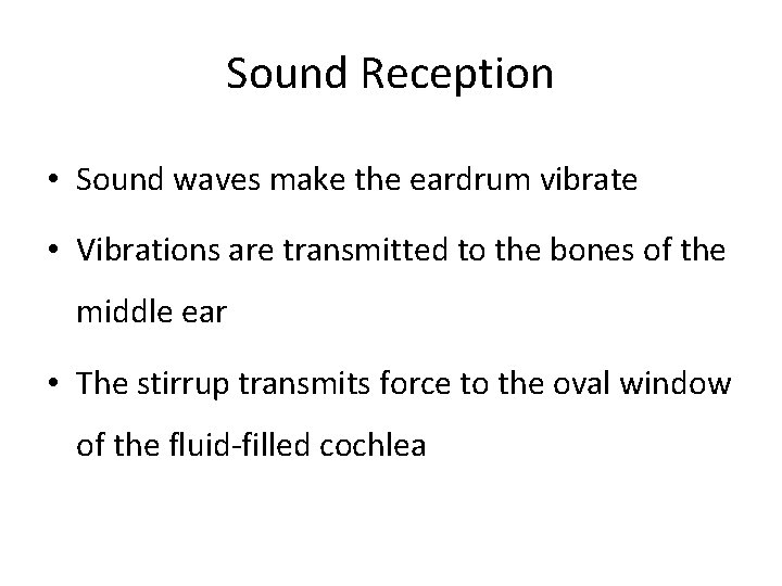 Sound Reception • Sound waves make the eardrum vibrate • Vibrations are transmitted to