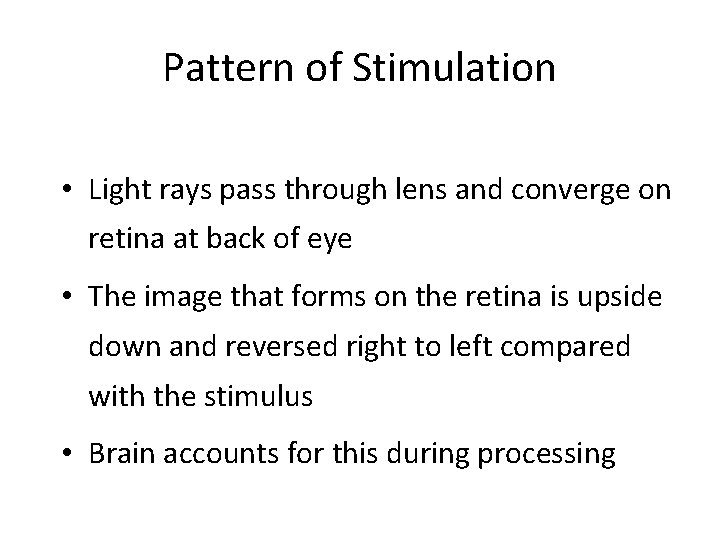 Pattern of Stimulation • Light rays pass through lens and converge on retina at