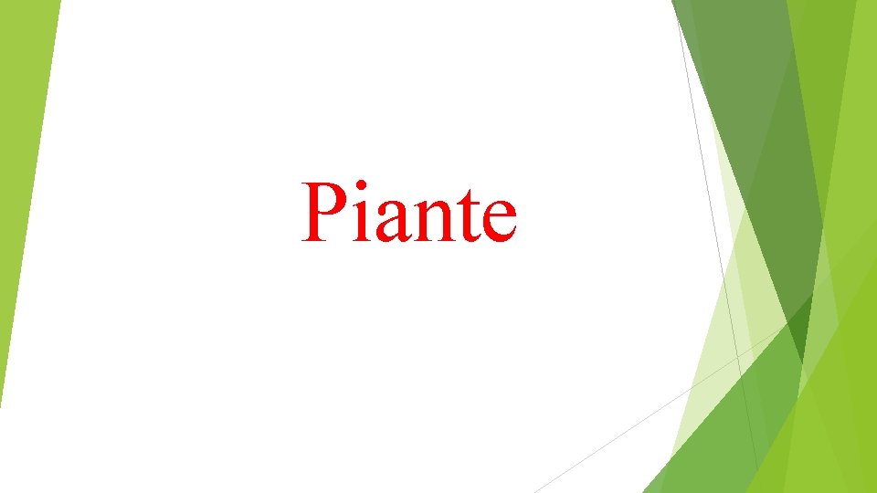 Piante 