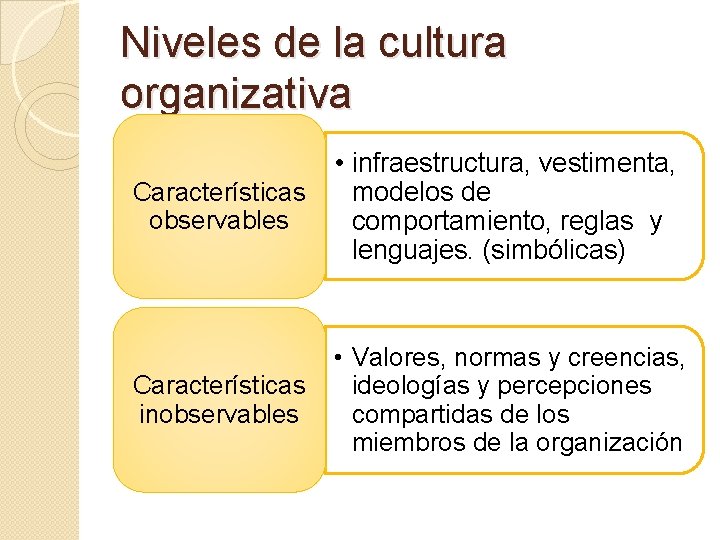 Niveles de la cultura organizativa Características observables • infraestructura, vestimenta, modelos de comportamiento, reglas