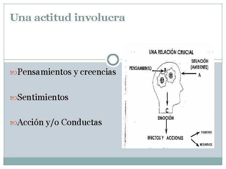 Una actitud involucra Pensamientos y creencias Sentimientos Acción y/o Conductas 