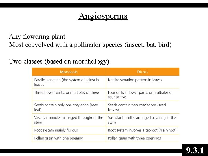 Angiosperms Any flowering plant Most coevolved with a pollinator species (insect, bat, bird) Two