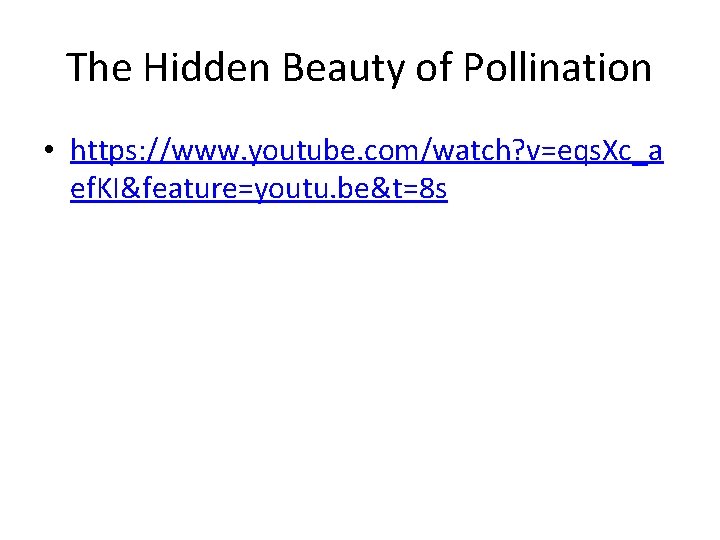 The Hidden Beauty of Pollination • https: //www. youtube. com/watch? v=eqs. Xc_a ef. KI&feature=youtu.