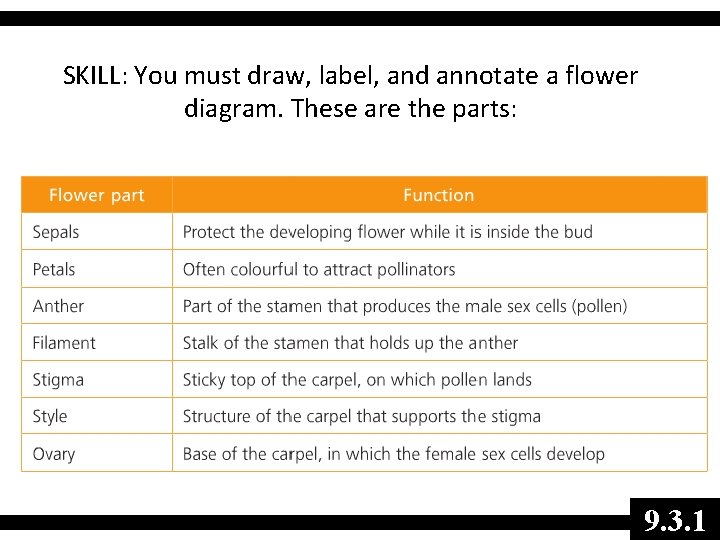 SKILL: You must draw, label, and annotate a flower diagram. These are the parts: