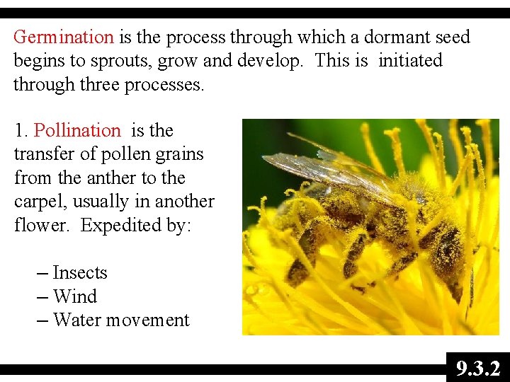Germination is the process through which a dormant seed begins to sprouts, grow and