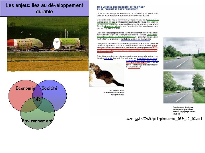 Les enjeux liés au développement durable Economie Société DD Environnement www. igg. fr/IMG/pdf/plaquette_IGG_10_02. pdf