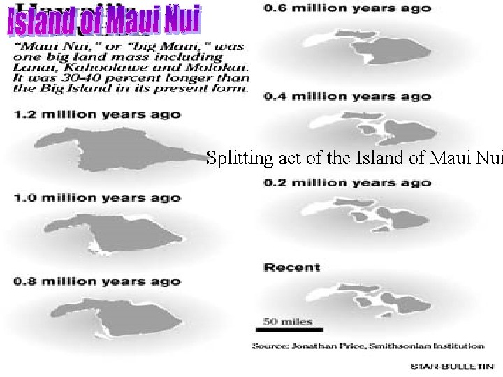 Splitting act of the Island of Maui Nui 