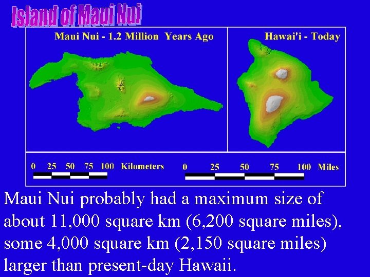 Maui Nui probably had a maximum size of about 11, 000 square km (6, Maui Nui probably had a maximum size of about 11, 000 square km (6,
