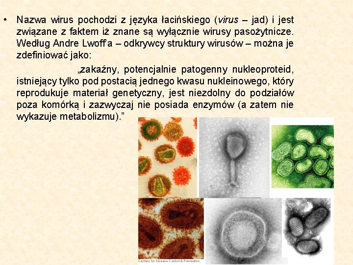  • Nazwa wirus pochodzi z języka łacińskiego (virus – jad) i jest związane