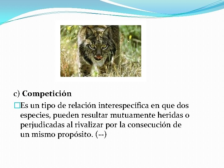 c) Competición �Es un tipo de relación interespecífica en que dos especies, pueden resultar