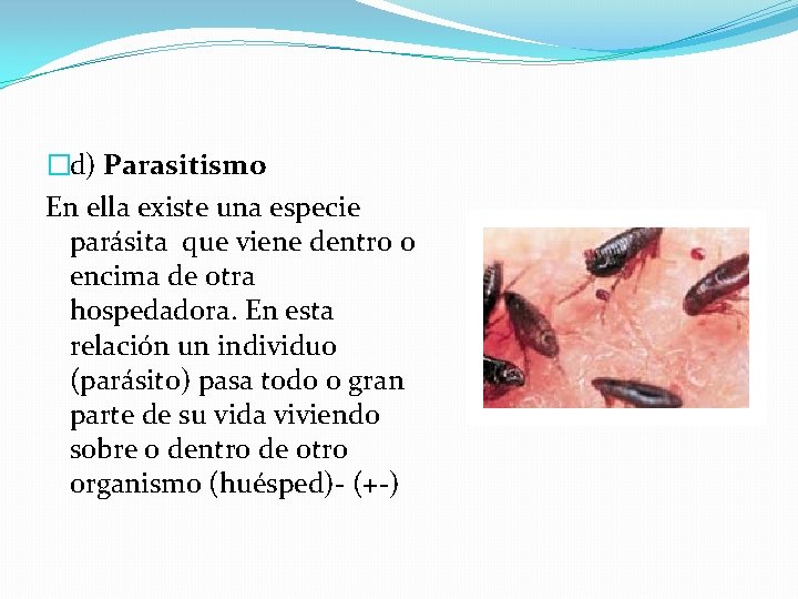 �d) Parasitismo En ella existe una especie parásita que viene dentro o encima de