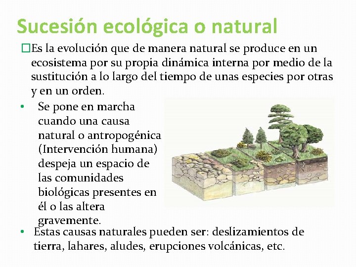 Sucesión ecológica o natural �Es la evolución que de manera natural se produce en