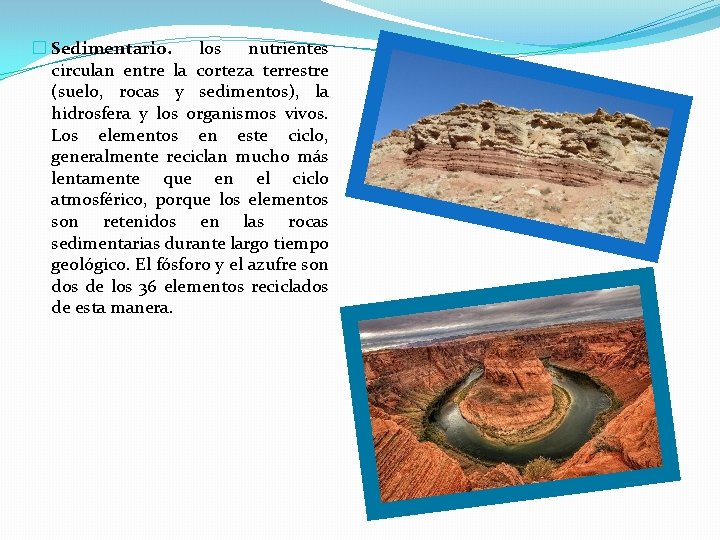 � Sedimentario. los nutrientes circulan entre la corteza terrestre (suelo, rocas y sedimentos), la