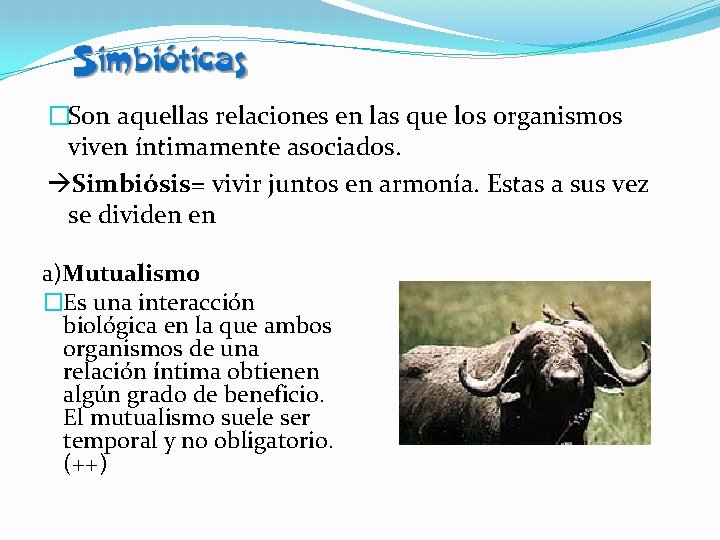 �Son aquellas relaciones en las que los organismos viven íntimamente asociados. Simbiósis= vivir juntos