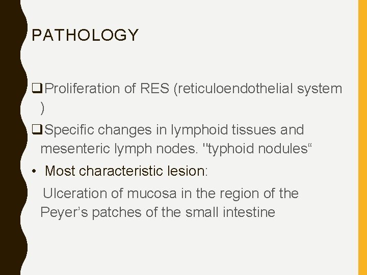 PATHOLOGY q. Proliferation of RES (reticuloendothelial system ) q. Specific changes in lymphoid tissues