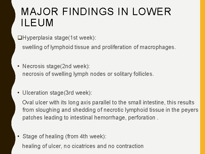 MAJOR FINDINGS IN LOWER ILEUM q. Hyperplasia stage(1 st week): swelling of lymphoid tissue