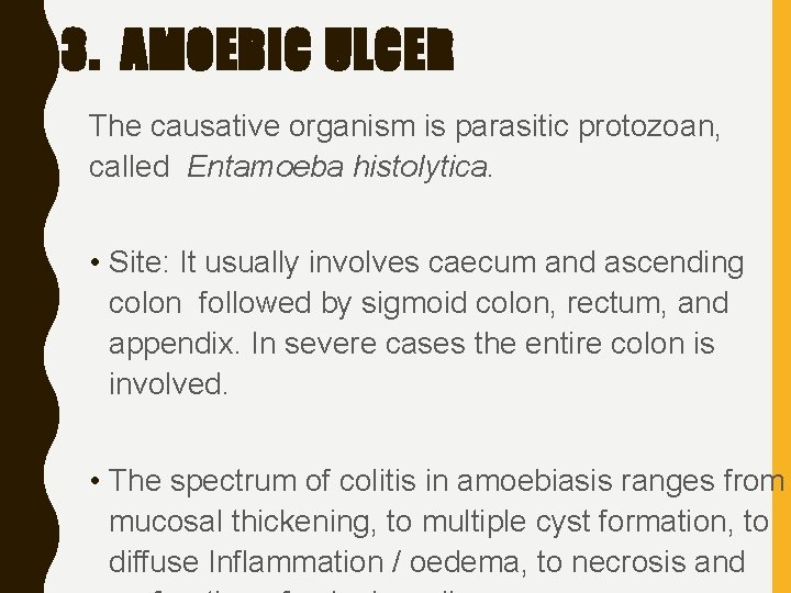 3. AMOEBIC ULCER The causative organism is parasitic protozoan, called Entamoeba histolytica. • Site: