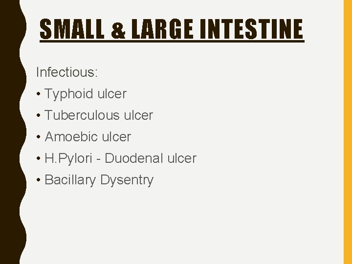 SMALL & LARGE INTESTINE Infectious: • Typhoid ulcer • Tuberculous ulcer • Amoebic ulcer