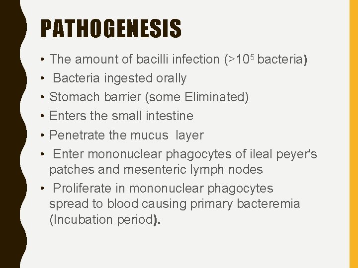 PATHOGENESIS • • • The amount of bacilli infection (>105 bacteria) Bacteria ingested orally