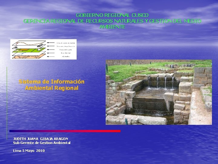 GOBIERNO REGIONAL CUSCO GERENCIA REGIONAL DE RECURSOS NATURALES Y GESTION DEL MEDIO AMBIENTE Sistema