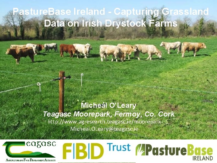 Pasture. Base Ireland - Capturing Grassland Data on Irish Drystock Farms Micheál O’Leary Teagasc