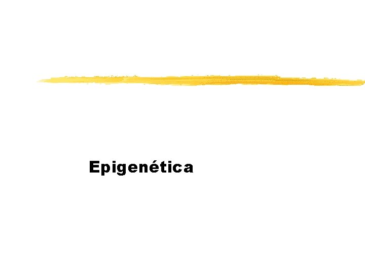 Epigenética 